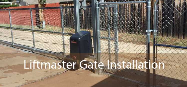Liftmaster Gate Installation 