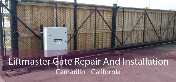 Liftmaster Gate Repair And Installation Camarillo - California
