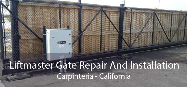 Liftmaster Gate Repair And Installation Carpinteria - California