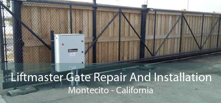 Liftmaster Gate Repair And Installation Montecito - California