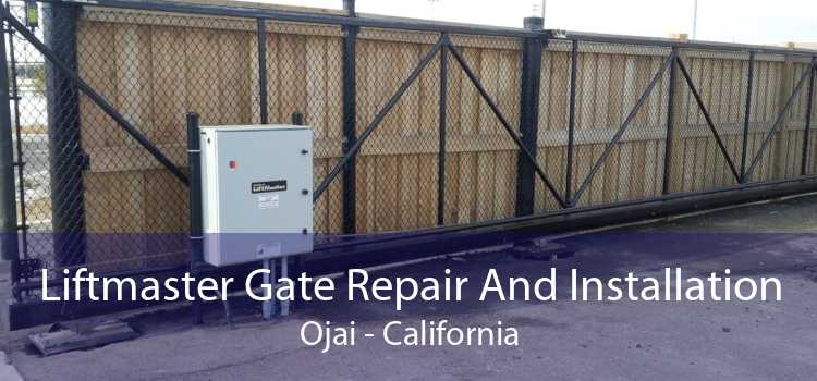 Liftmaster Gate Repair And Installation Ojai - California