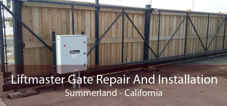 Liftmaster Gate Repair And Installation Summerland - California