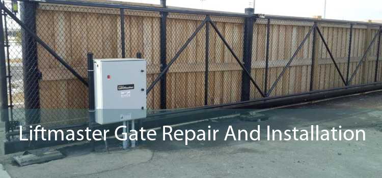 Liftmaster Gate Repair And Installation 