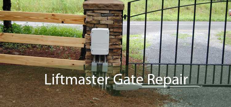 Liftmaster Gate Repair 